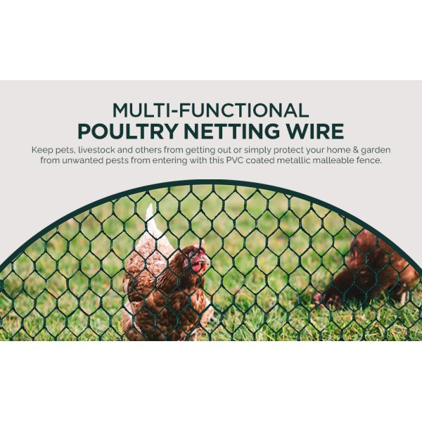 Wire, Steel Wire Mesh Roll, Versatile And Durable Garden Netting, Essential Galvanized PVC-Coated Hexagonal Chicken Wire Mesh Low Price Bulk Poultry Farm Roll Wire Welded Wire Mesh Processing Service