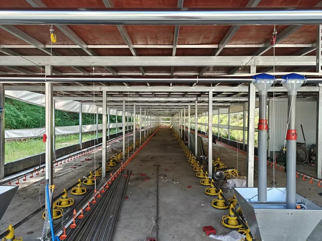 Automatic Feeding and Drinking Broiler Poultry Equipment with Galvanized Light Steel Frames and Steel Panel Walls for Broiler Raising System