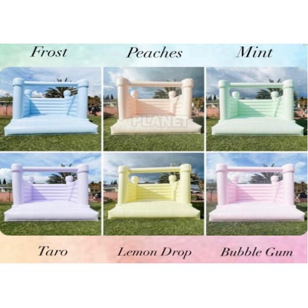 Современный на открытом воздухе роскошный прыгающий большой белый надувной дом прыжка