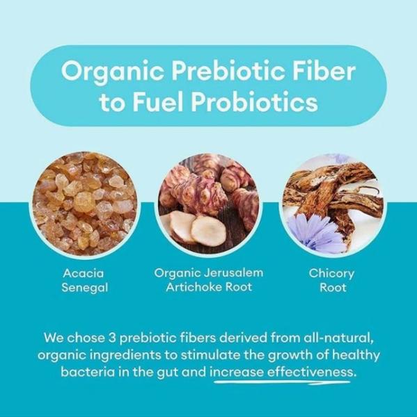 Organic Prebiotic And Probiotic Capsules Herbal Digestive Support Supplement