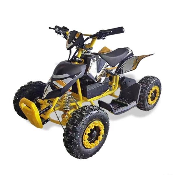 Discover the Excitement of Our Mini Quad Buggy ATV 500W Electric ATV for Kids and Adults