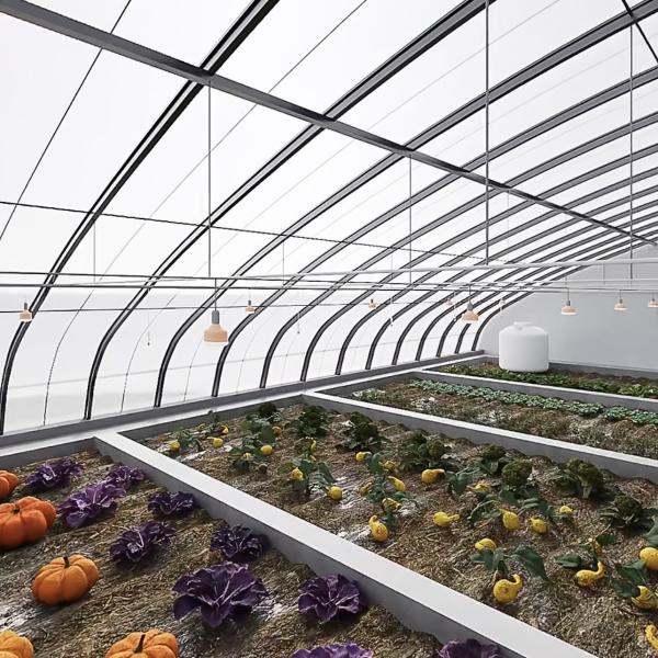 Vegetais Luz solar Hidroponia de estufa Irrigação de espuma Personalização para uso comercial