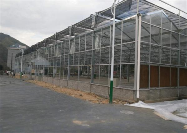 Venlo Type Toughened Glass Greenhouse Hot Galvanized Steel Skeleton Material