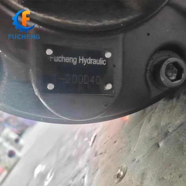 1-200D40 Hydraulic Motor for Standard from Chinese within Black Color