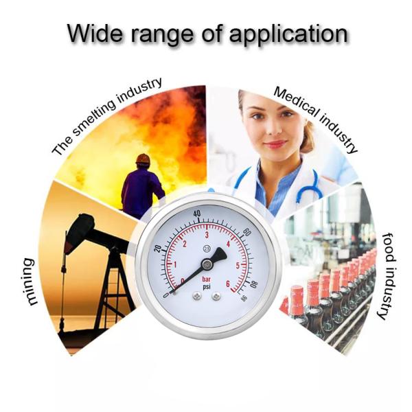 Back-Mounted 60mm Stainless Steel Bourdon Tube Pressure Gauge with Customized OEM Support