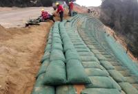 Le géotextile 100% de polypropylène Geofabric met en sac Geotube pour la garde de l'eau