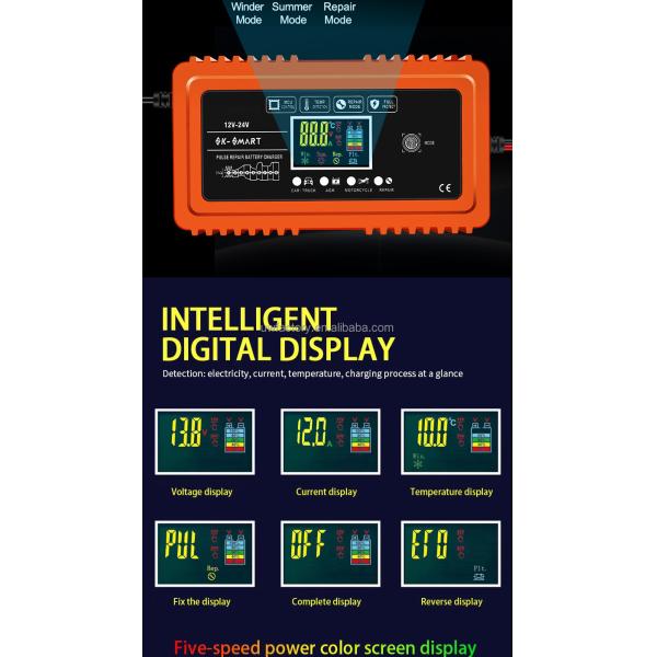 12V/24V Output Intelligent Battery Charger 10A for Automatic Charger Car Motorcycle Boat Marine