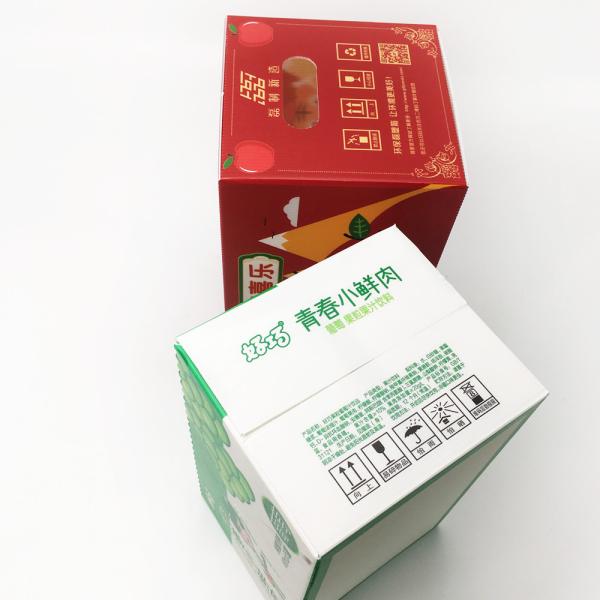 Cold Vegetable Seafood Plastic Storage Boxes Moisture Resistance Corrugated Package