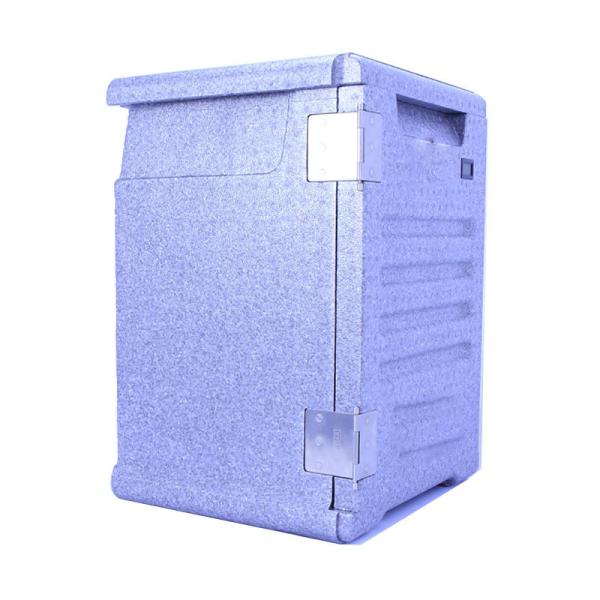 Incubateur à haute densité de nourriture d'incubateur de PPE de Cabinet vertical 49-100 litres