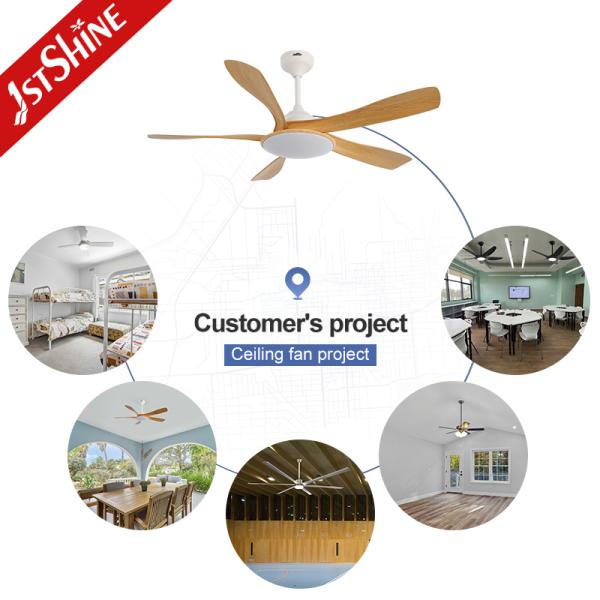 Ventilador de techo de 56 pulgadas con luz LED Motor de CC, 5 cuchillas, pantalla de lámpara acrílica