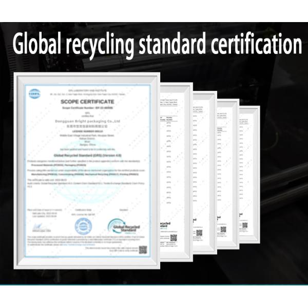 Custom 100% Recyclable Packaging Bags With Beautiful Eye-catching Graphic Printing Flexible Packaging Stand-up Pouches