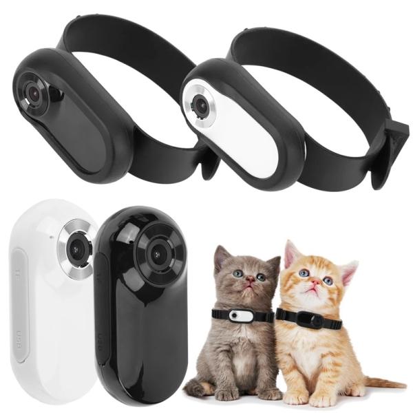 HD 1080P Collar Mounted Pet Camera Battery Rechargeable Cat Dog Neck Camera