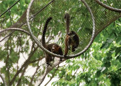 Galvanized Stainless Steel Zoo Mesh , Custom Size Animal Enclosure Netting