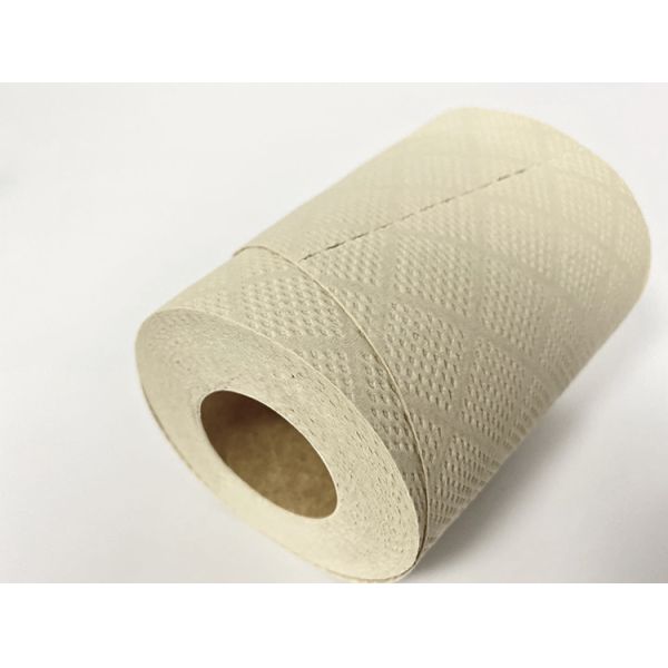 Bamboo Toilet Tissue Wholesale Custom Printed OEM Packing Pulp Material Roll Core Type Soft Eco-Friendly Toilet Paper