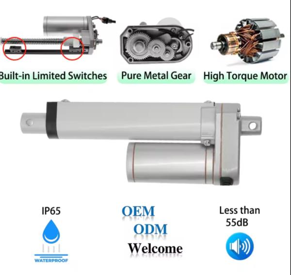 12/24V DC Motor 50mm 100mm Customized Stroke Mini Linear Actuator for Small Solar Tracker