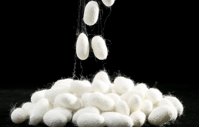 Hydrolyzed Silk Amino Acids For Cosmetics White Powder Silk Fibroin Powder