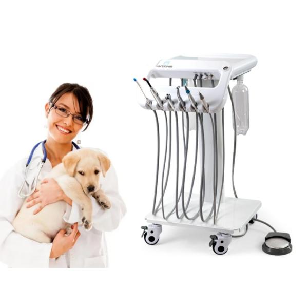 Легкое оборудование для ухода за зубами для домашних животных Ветеринарная портативная стоматологическая тележка