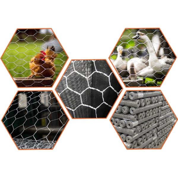 Erosion Control Gabion Wall Fence Rock Gabion Baskets For Scour Protection