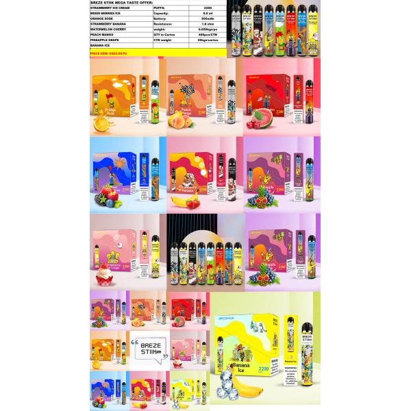 FDA CE Disposable Vape Pen Pods 2200 Puffs 6.0ml Smoking Vapor Cigarettes