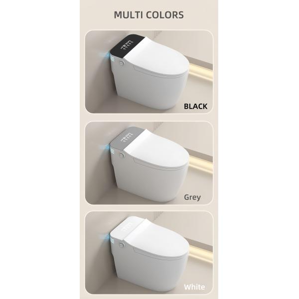Luxury Smart Intelligent Toilet Ceramic Body Built - In Tank Multi Functions Available
