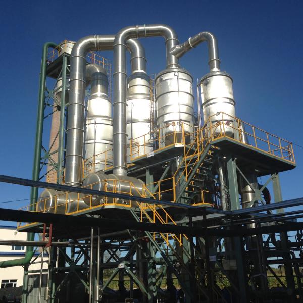 1T-1500T/D Линия обработки томатной пасты для полностью автоматического производ