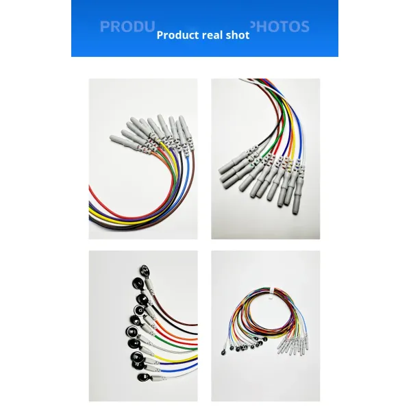 D-Type 1.5 Female Hole Multicolor Silver Chloride Alcohol Disinfecting EEG Electrode Disc Digital Electronic Massager Universal