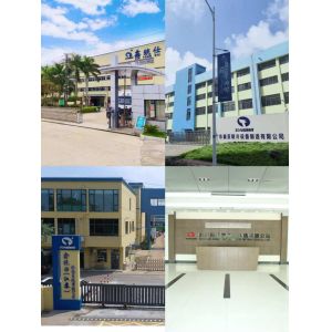 Guangdong Xin Tongshi Group Co., Ltd.