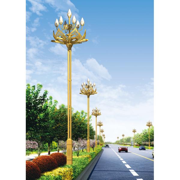 PF0.9 Aluminium Parking Lot magnolia shape LED Street Light with high pole 200W