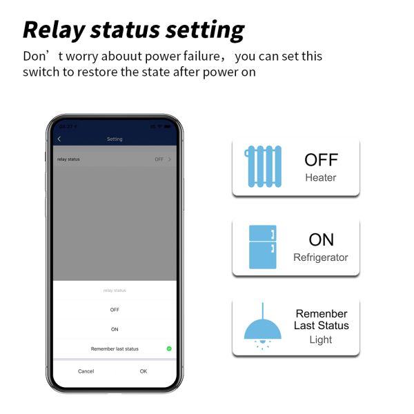 Android IOS Dimmable Smart Plug Energy Power Monitoring 2.4GHz Fire Retardant