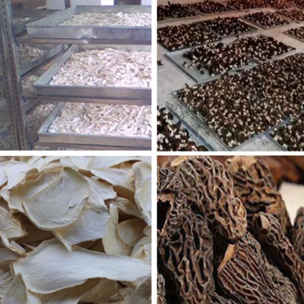 Safety Heat Pump Mushroom Dehydrator Machine Environmental Friendly