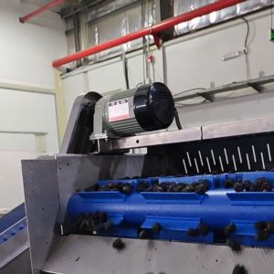 Machine de tri des dattes de grande capacité, corps en acier inoxydable, 6 voies + 10 sorties, 1,8 tonne par heure, caméra industrielle