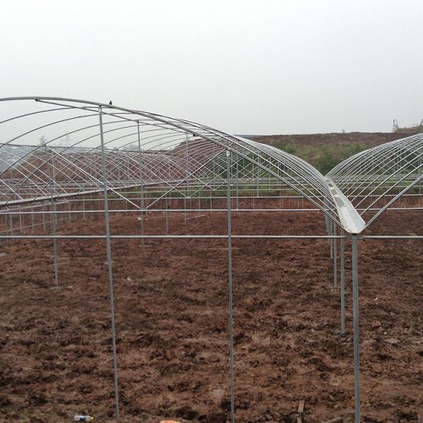 Multi estufa do abrigo do Rainout do filme plástico do arco para a morango