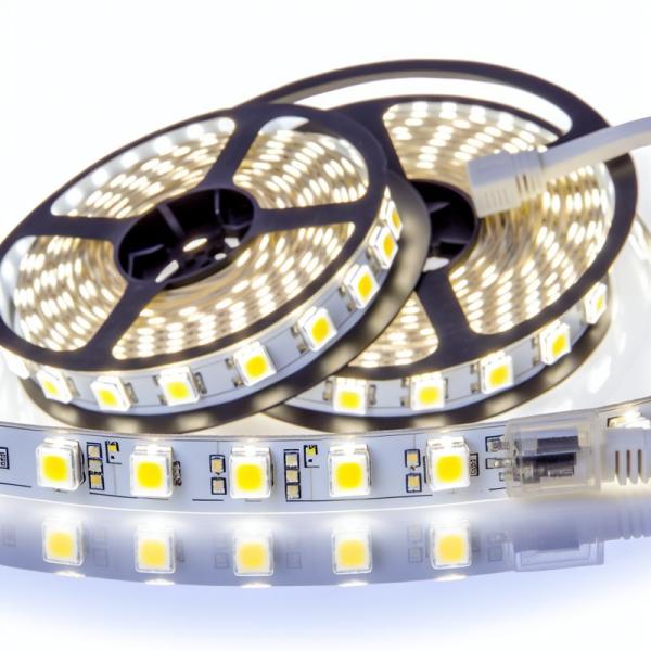 Lampes à bande LED imperméables IP67 pour centres commerciaux à tension 12V