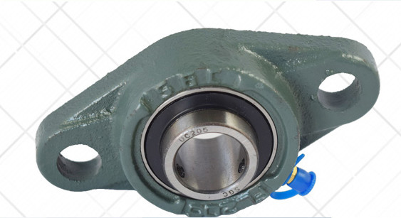 Cast Iron Housing UCFL 300 Series 2 Hole Flange Bearing