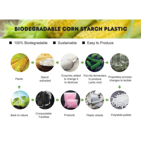 Bio degradable corn starch PLA plastic zipper bag, Compost Bio Degradable Green Plastic Compostable k Bags