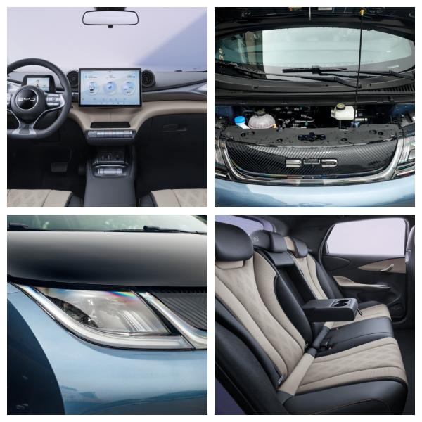 Venta caliente Nueva versión automática de alta velocidad BYD Ballena Nueva energía pura vehículo eléctrico EV coche