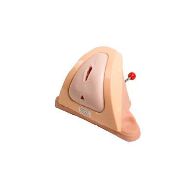 Medical Episiotomy Training Child Birth Simulator