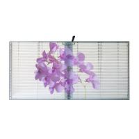 SMD1921 LED Transparent Display Screen P3.91 High Definition Viewing