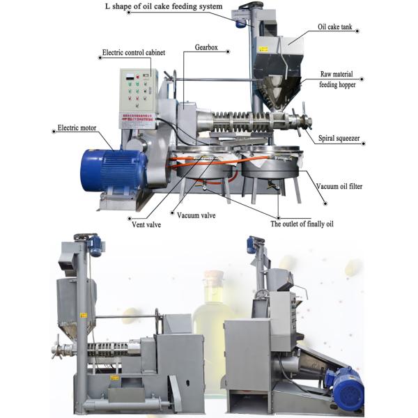 Vacuum Filtration 750Kg/H 100RPM Screw Type Oil Expeller