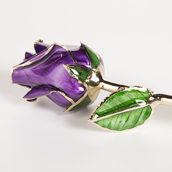 24k Gold Trimmed Rose Fresh Preserved Flower Gold Plated Natural Rose Handmade Preserved Rose