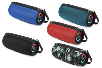 haut-parleur Bluetooth Hi-Fi portable de 10 W, fournissant un son clair et puissant pour le téléviseur