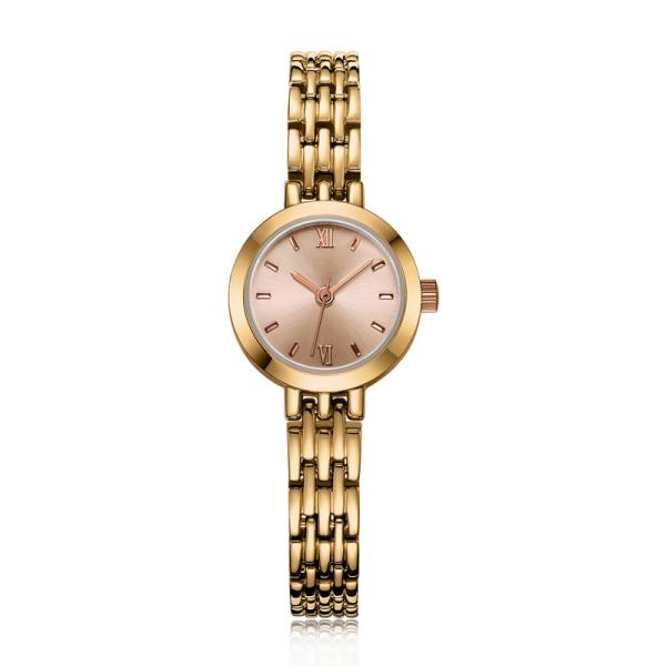 дозора кварца сплава размера 24mm браслет украшения дам логотипа небольшого изготовленный на заказ