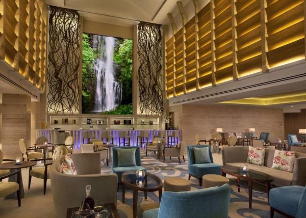 Hotel lobby Luxury   Chair & Desk Chair & Restaurant Dining Chair  Furniture