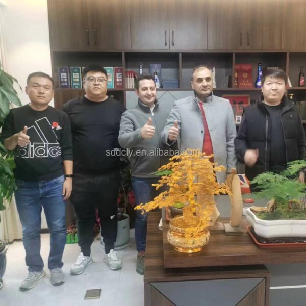 PPGI Цветопокрытая предварительно окрашенная катушка толщина 0,4 мм RAL 6010 для технологии холодной проката