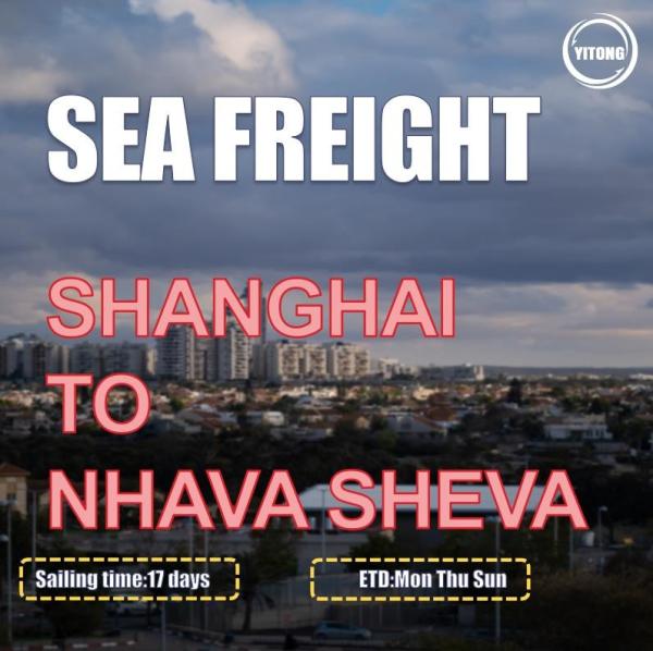 ISEA China To India Sea Freight From Shanghai To Nhava Sheva International Ocean Shipping