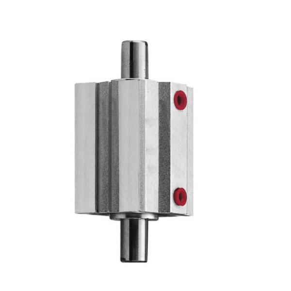 Compact Pneumatic Double Rod Air Cylinder Automatic Inspection Machine