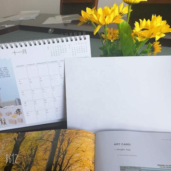 Papel de arte revestido de águia de nieve china C2S Brillo/Mat Brillo o mate Elige tu acabado