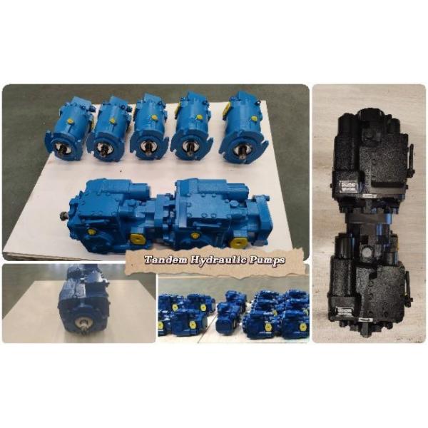 Hydraulic Tandem Pump For Multi-functional Agricultural Machinery