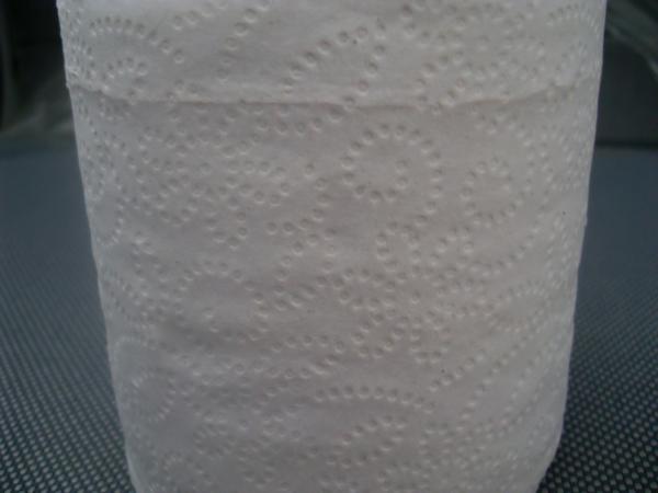 Customized Embossed Toilet Tissue Paper Roll
