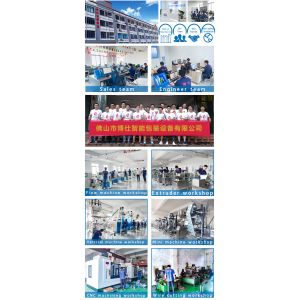 Foshan Boshi Packing Machinery Co., Ltd.